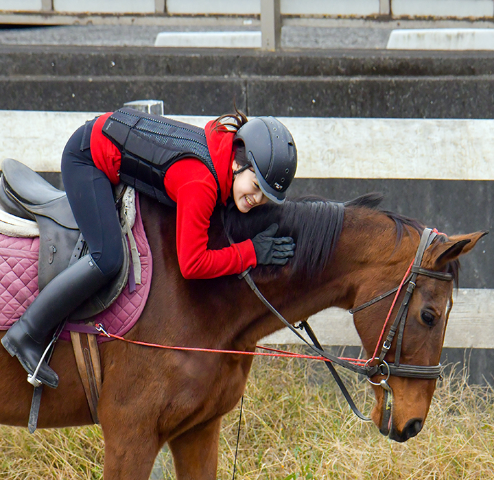 競技会トロットレース